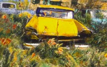 Yellow car in weeds
