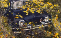 Black Car with Yellow Leaves