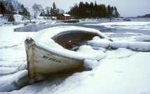 Lobster skiff in Penobscot