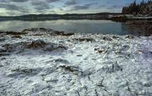 Snow on water at Mill Creek