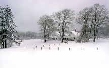 Main Road farm in snow