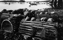 Lobster pots at Grindle Point