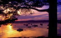 Seal Harbor boats at dusk