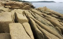 Acadia granite shoreline