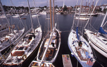 Sailboats docked in Camden harbor
