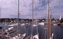 Sailboats in Camden harbor