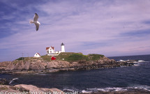 Nubble Point Light, York