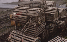 Wooden lobster pots Islesboro shore