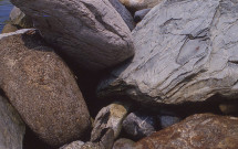 Rocks at Grindle Point Lighthouse