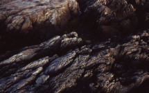 Rocky ledge in front of Grindle Point Lighthouse