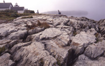 Rocky shore at Grindle Point Lighthouse