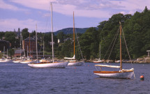 Rockport harbor with sailboats moored