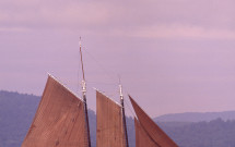 Tanbark sails on sailboat Maine
