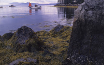 Seal Harbor lobster boat at shoreline