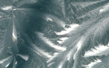 Frost feathers on greenhouse glass