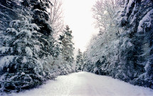 Snowy road from Gooseberry Nubble