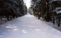 Gooseberry Nubble road in snow