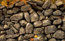 Stone wall close-up in fall