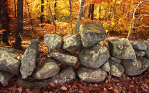 Stone wall with fall foliage
