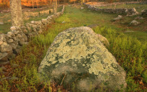 Stonington farm with glacial erratic