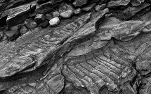 Rock detail, Grindle Point