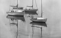 Boats in Gilkey Harbor